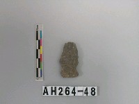 藏品(帶鋌打製石鏃)的圖片